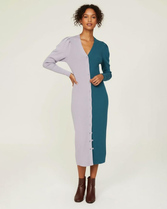 Busayo Collective Rib Sweater Dress - Wind & Song