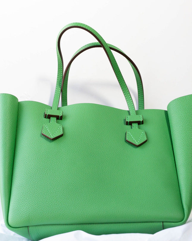 MOREAU Paris Handbags in Green - Wind & Song