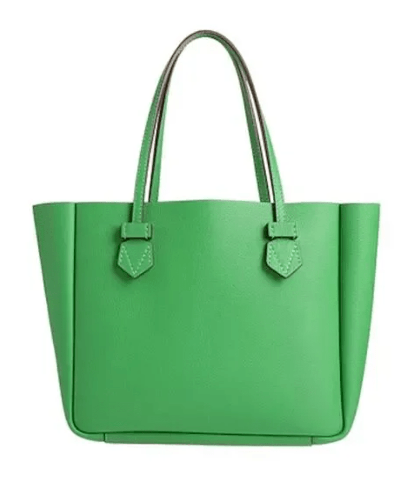 MOREAU Paris Handbags in Green - Wind & Song