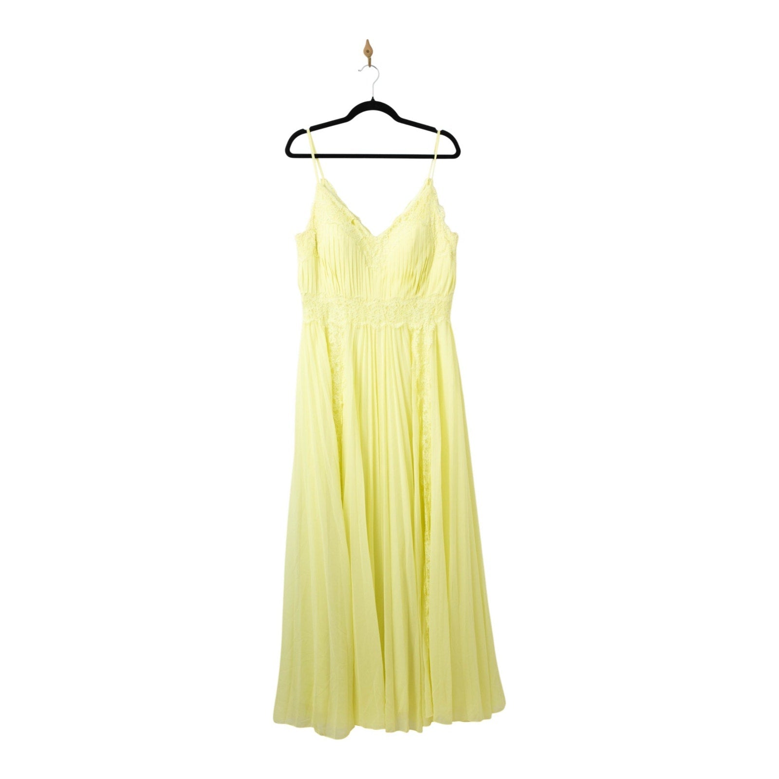 Zac Posen Chiffon Lace Gown in Yellow - Pre - owned - Size 12 - Wind & Song