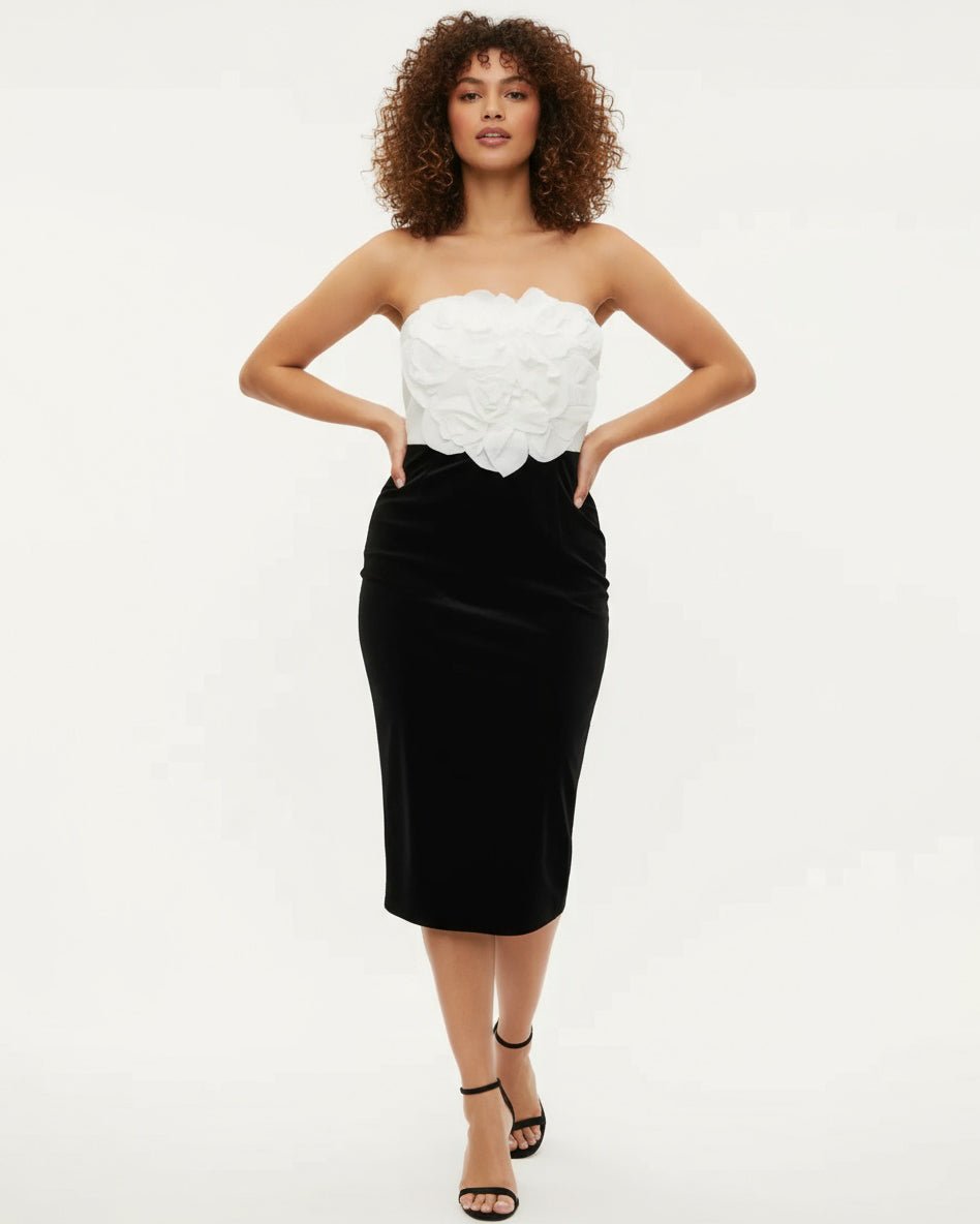 Badgley Mischka Black Velvet with White Rose Bodice Dress - Wind & Song