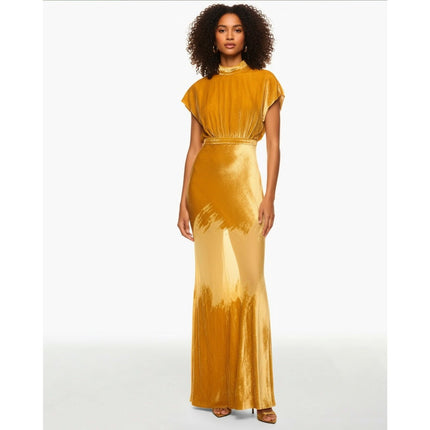 SALONI Fabienne Golden Velvet Gown - Wind & Song