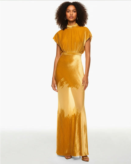 SALONI Fabienne Golden Velvet Gown - Wind & Song