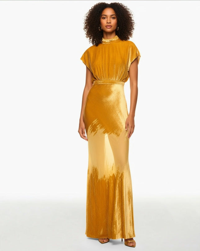 SALONI Fabienne Golden Velvet Gown - Wind & Song