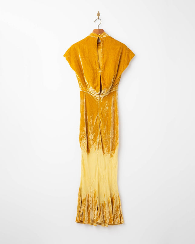 SALONI Fabienne Golden Velvet Gown - Wind & Song