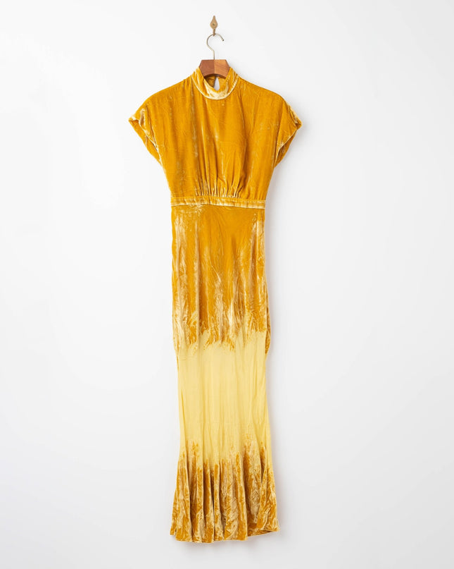 SALONI Fabienne Golden Velvet Gown - Wind & Song